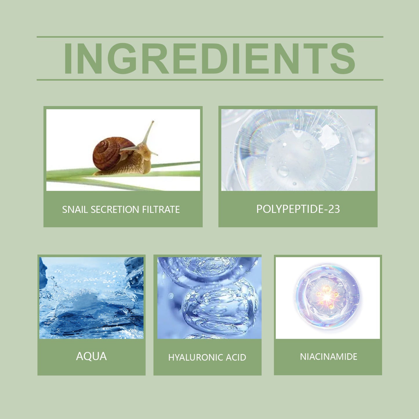 Snail Peptide & Hyaluronic Acid Firming Serum - 50ml Anti-Aging Skin Care