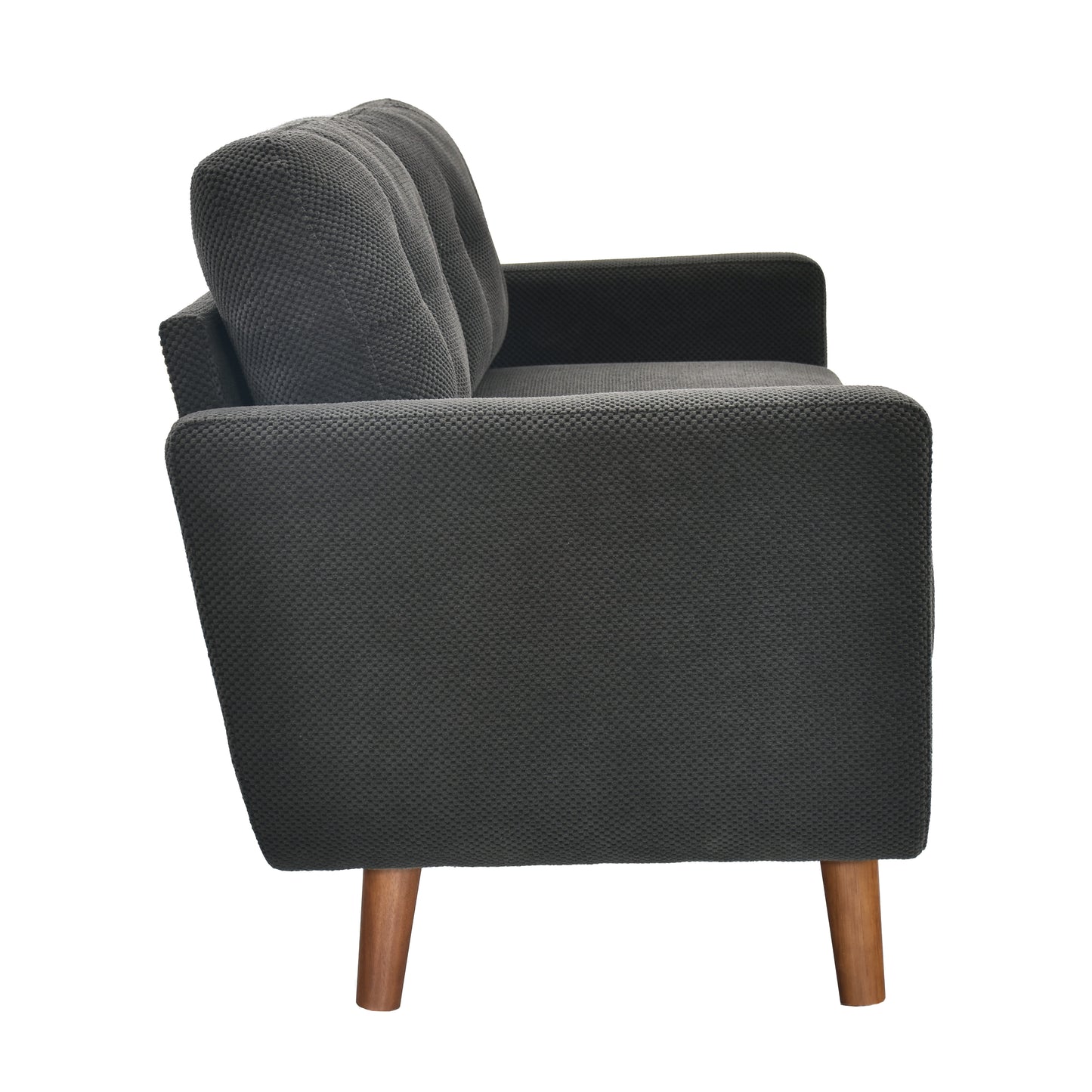 65-Inch Modern Minimalist Two-Seater Sofa - Dark Grey