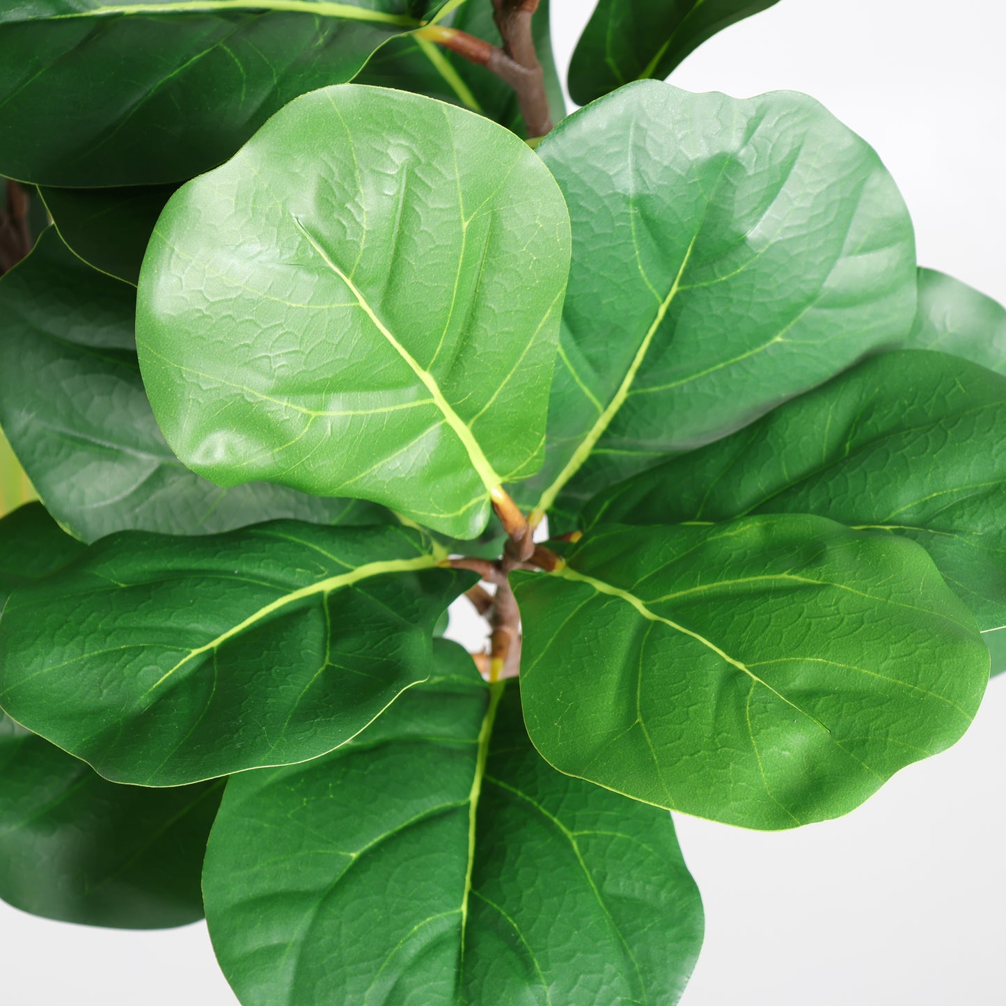 Artificial Fiddle Leaf Fig Tree in White Pot - 6FT Indoor Plant