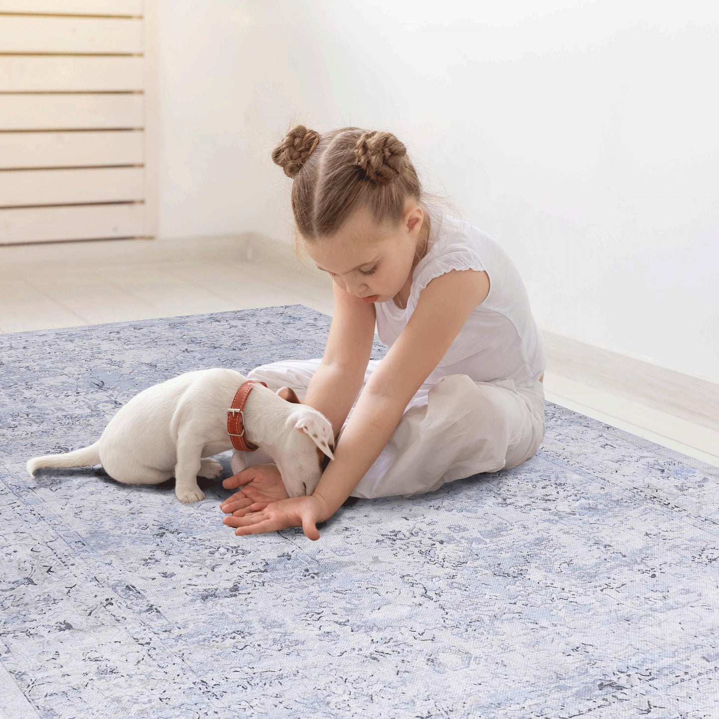 MAVAL Blue Washable Rug 2' X 3' Doormat Cream,
