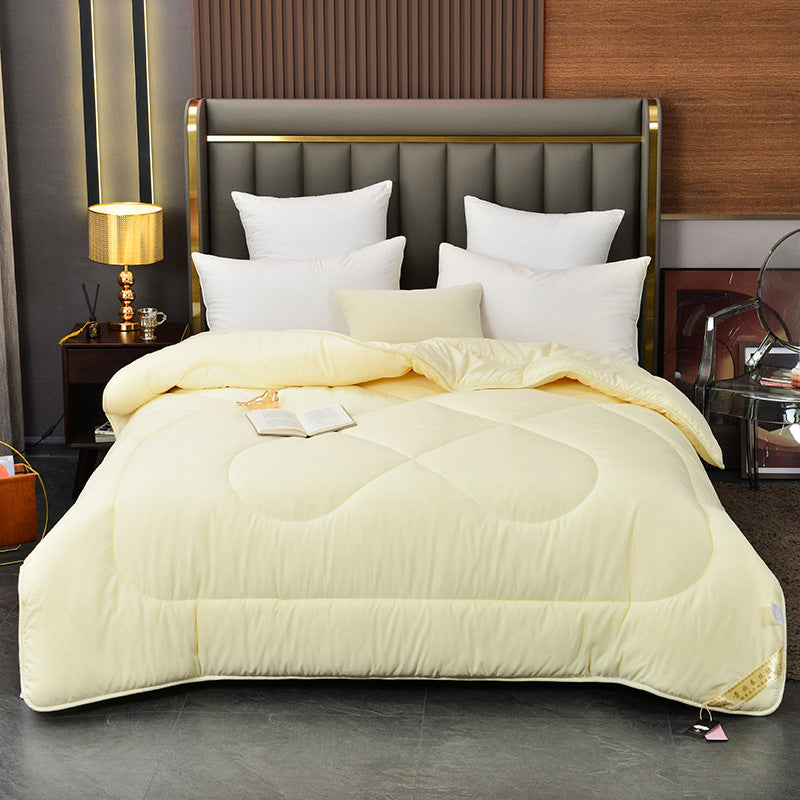 Thickened Silk Floss Summer Duvet Insert for Home Bedding
