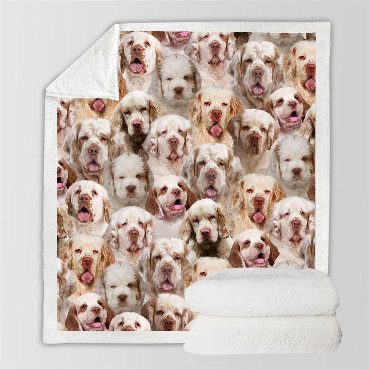 Printed Flannel Pet Dog Blanket - Multiple Sizes & Styles