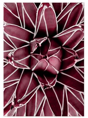 Red Peony Rose Flower Wall Art Diamond Painting Cross Stitch Kit - Handmade Home Decor