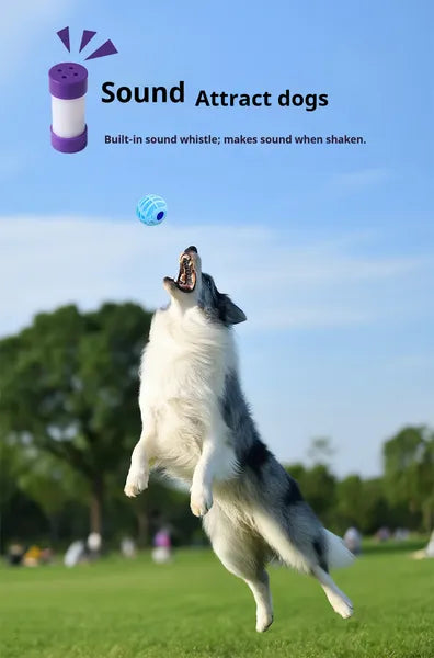 Interactive Sound Ball for Pets - Plush Squeaky Dog and Cat Toys