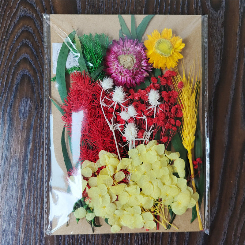 Dried Flower Material Pack for Candle & Photo Frame Decoration - Multiple Styles