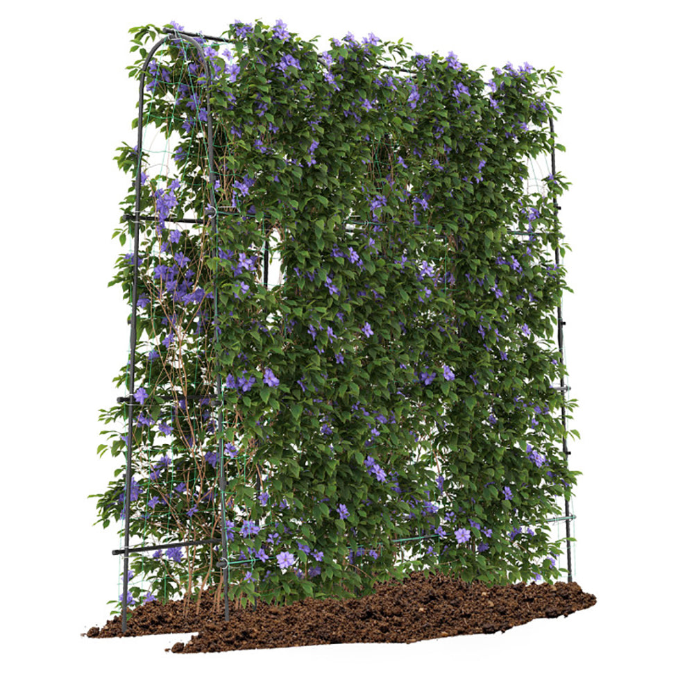 Large U-Shaped Garden Trellis for Climbing Plants - Black, 71 x 71 Inches
