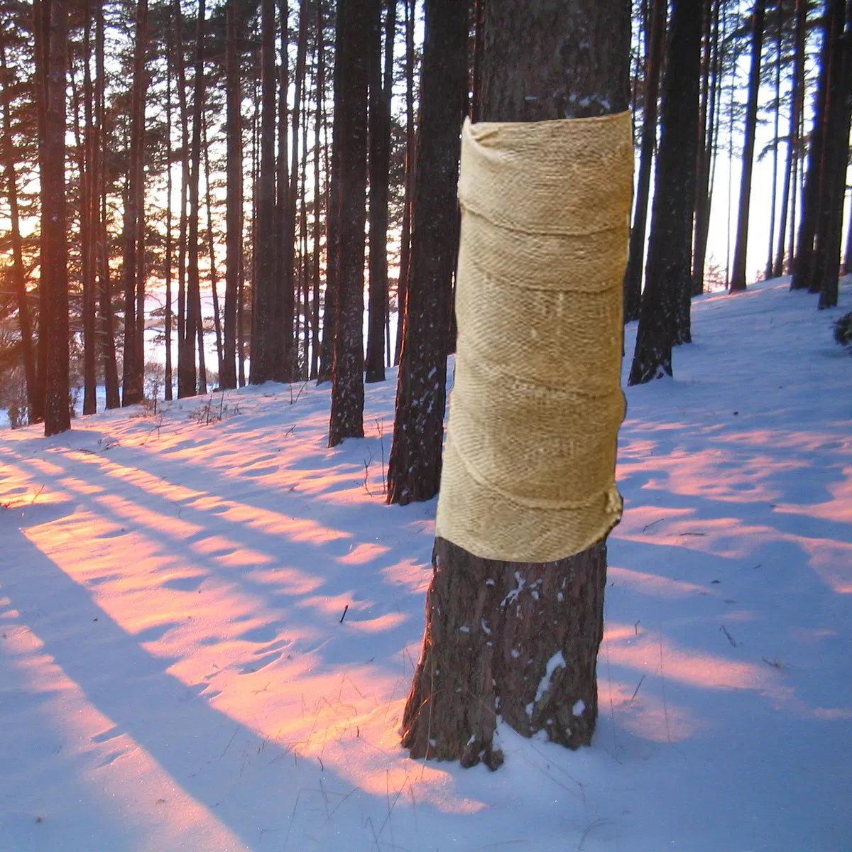 Garden Tree Wraps - Burlap Protective Cover for Trees, 4 Rolls