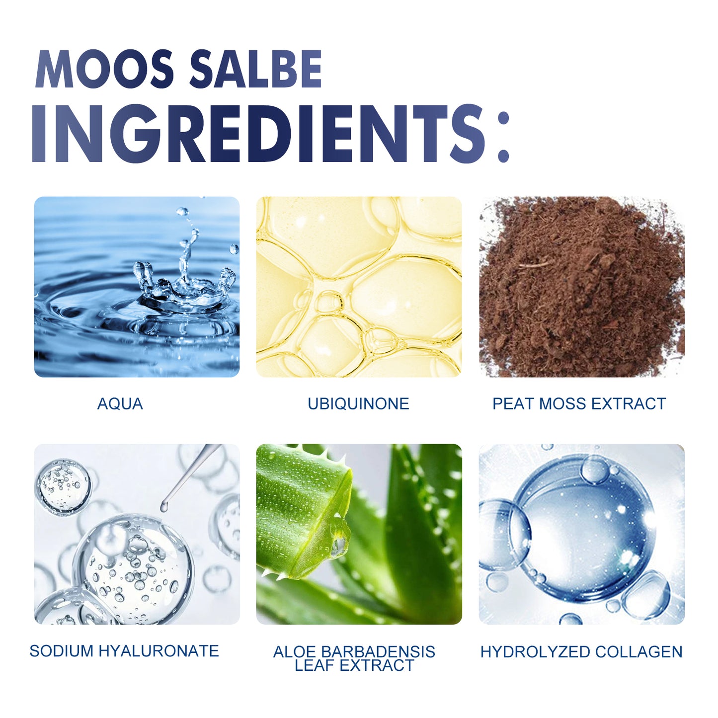 Aloe Vera & Ginkgo Biloba Anti-Aging Facial Cream - Moisturizing Skin Care