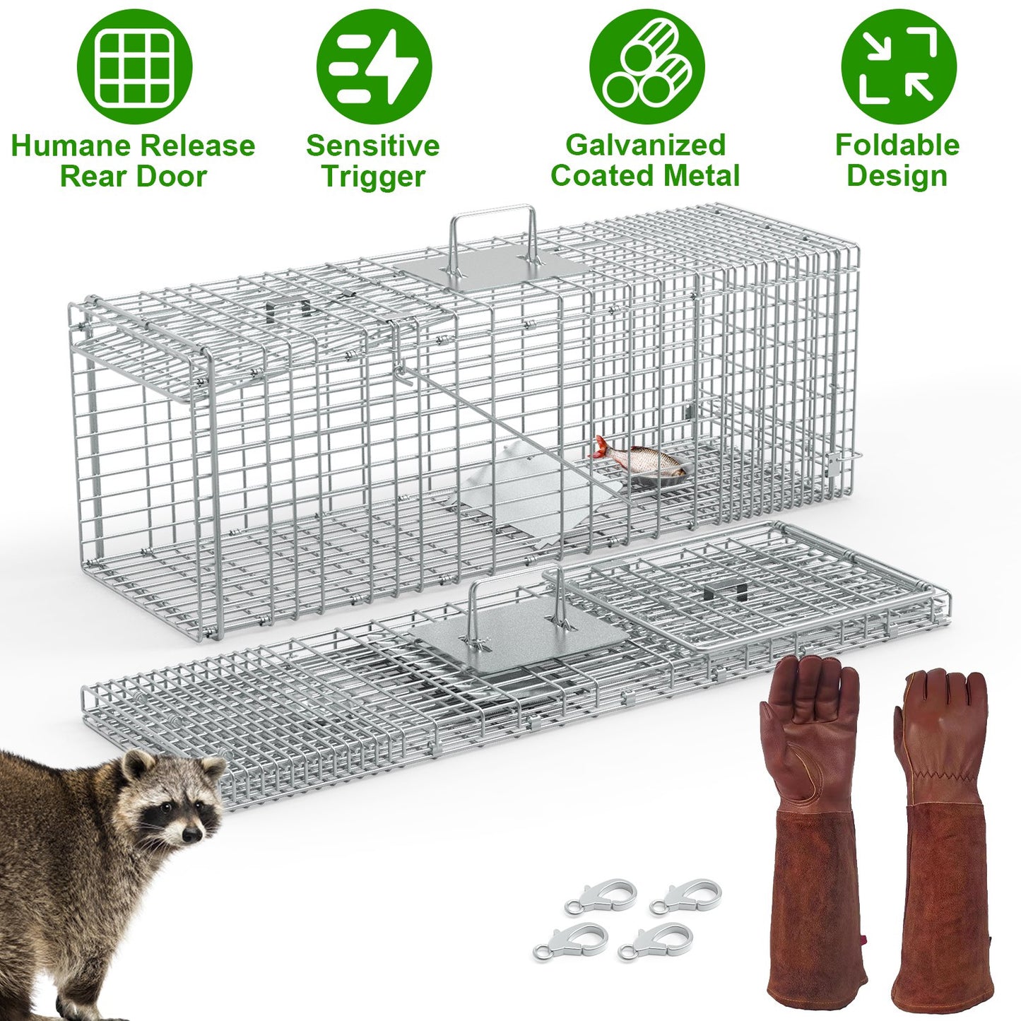 Humane Cat Trap Cage for Raccoons, Beavers & Groundhogs - Collapsible