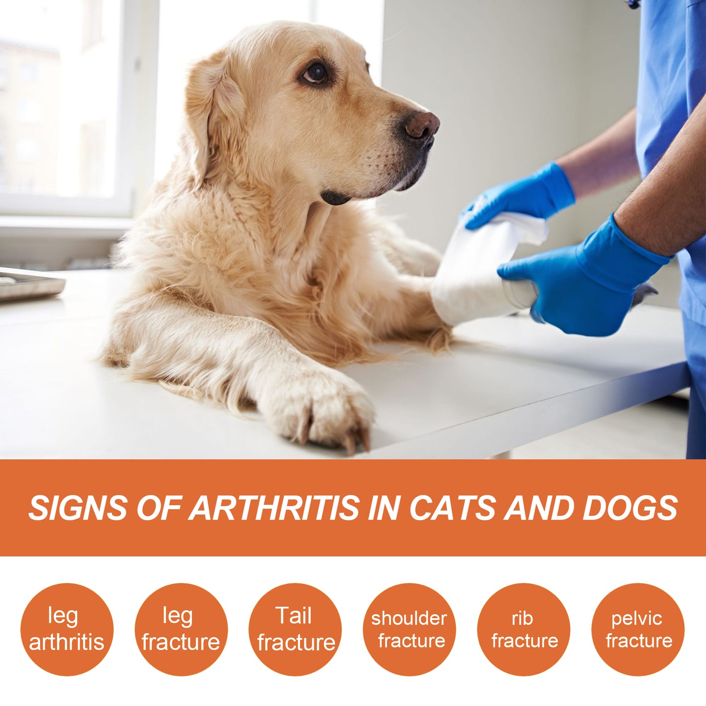 Pet Joint Support Spray for Dogs & Cats - Natural Relief & Mobility Aid