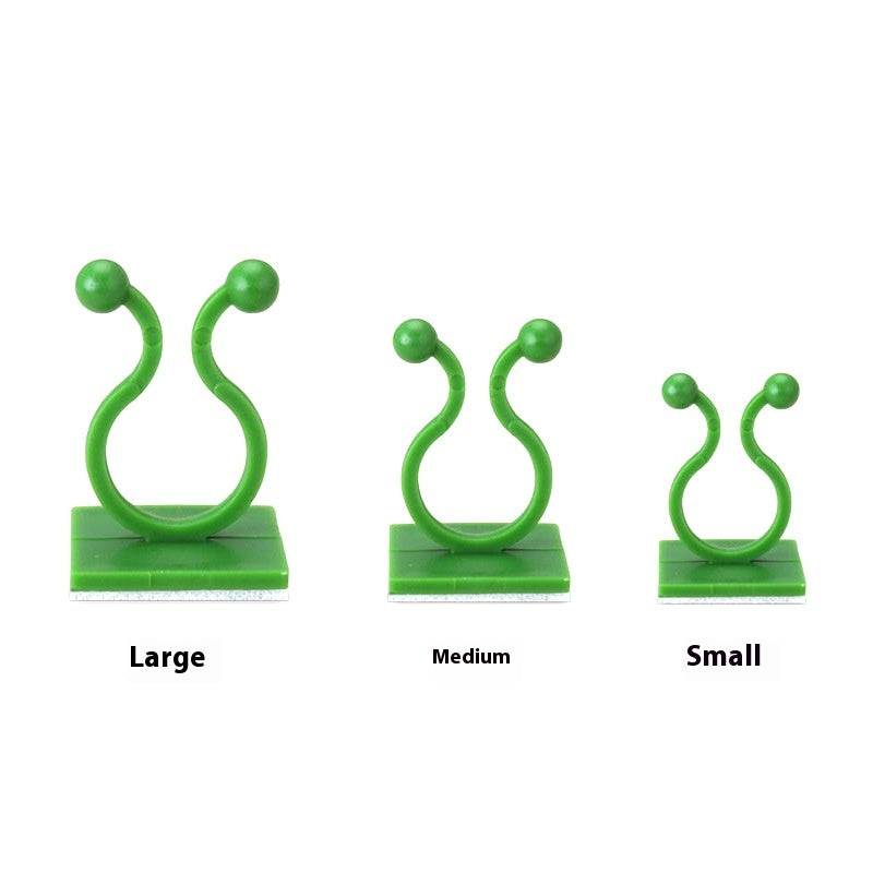 Plant Support Clips and Buckles for Garden & Home Plants