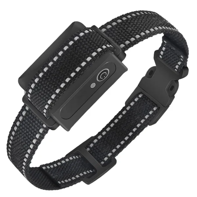 Dog Training Collar Receiver Waterproof IP67 for Obedience & Control
