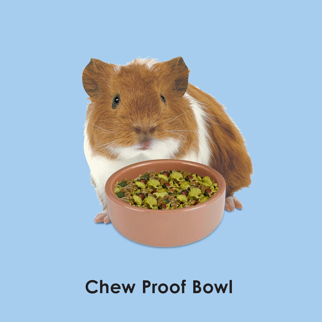 Ceramic Pet Hamster Bowl - Heavyweight, Tip-Resistant, Dishwasher Safe