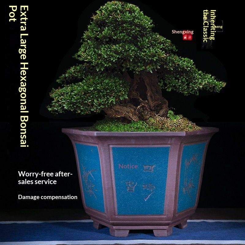 Large Hexagonal Handcrafted Yixing Zisha Flower Pot for Indoor Plants
