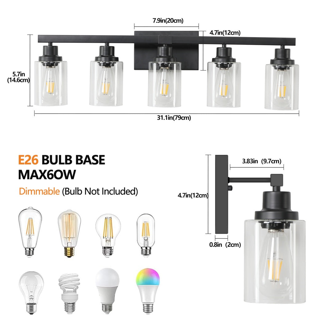 5-Light Black Bathroom Vanity Light Fixture with Glass Shades
