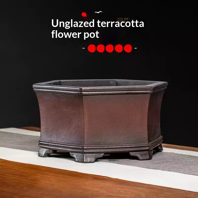 Hexagonal Orchid & Aglaonema Plant Pot - High-Quality Decorative Garden Container