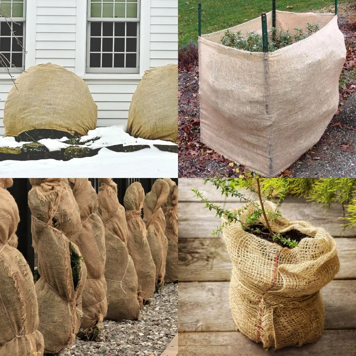 Garden Tree Wraps - Burlap Protective Cover for Trees, 4 Rolls
