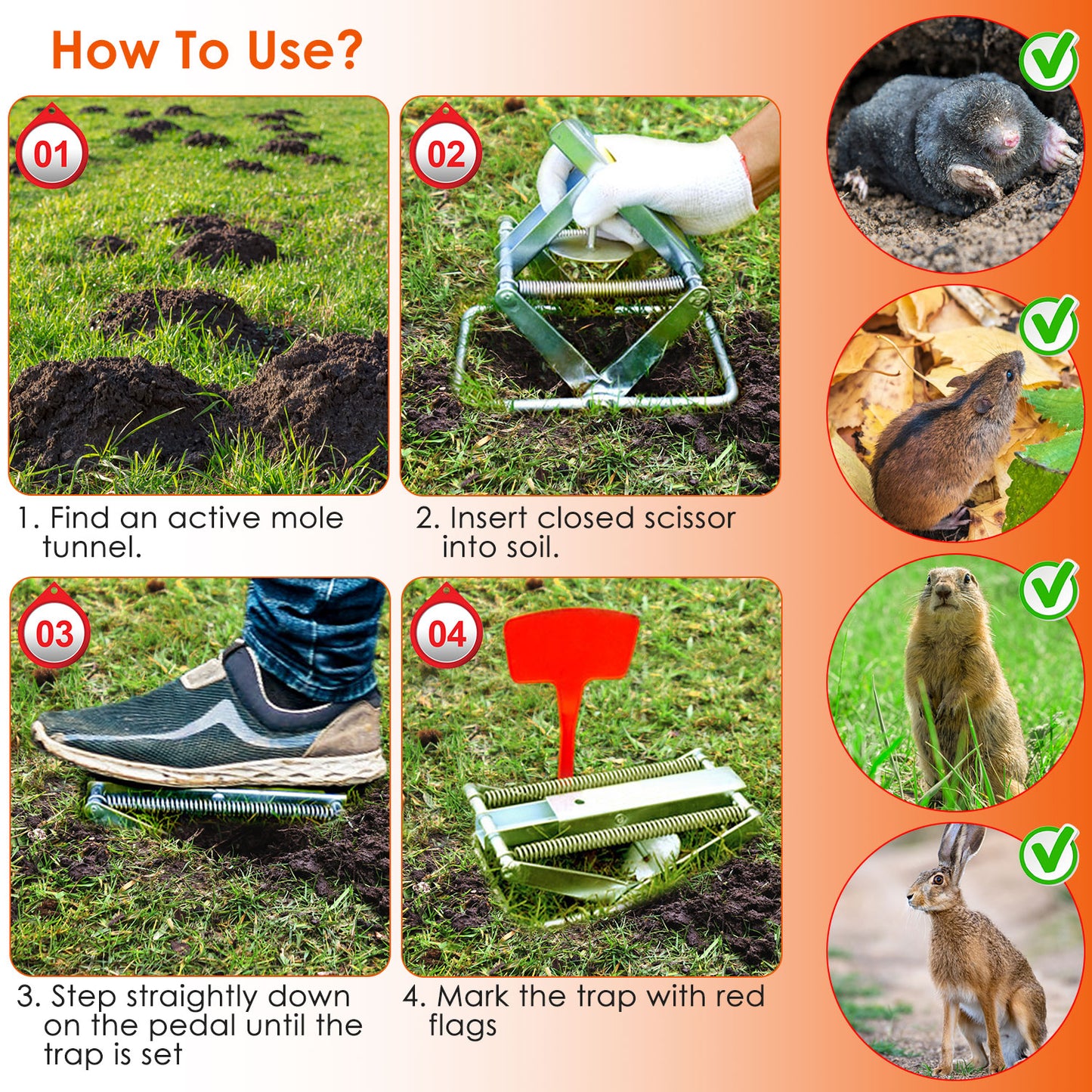 2PCS Reusable Mole Scissor Traps - Metal Rodent Control for Lawn