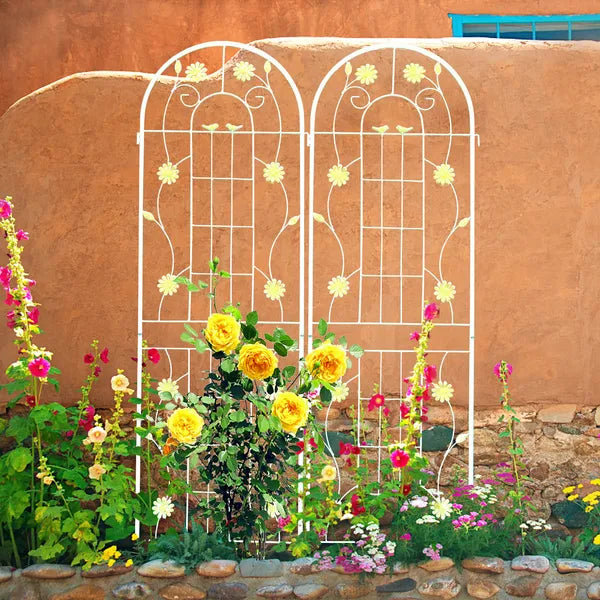 Metal Garden Trellis - 71" x 19.7" Rustproof Support for Climbing Plants