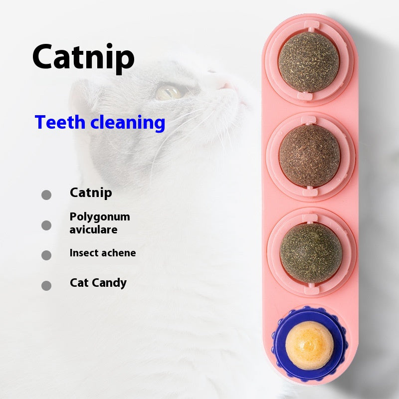 4-in-1 Rotating Catnip and Silver Vine Chew Toy Wall Mount for Cats