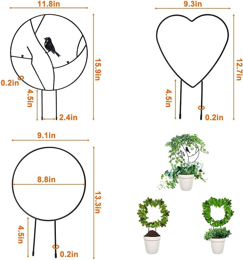 Metal Plant Support Frame for Climbing Vines & Flower Arrangements - Varieties Available