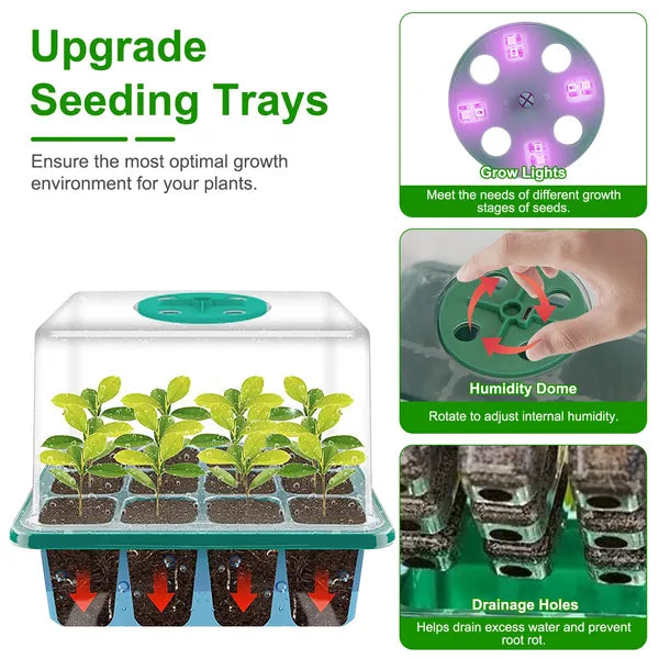Seed Starter Tray Kit with Grow Light and Humidity Dome