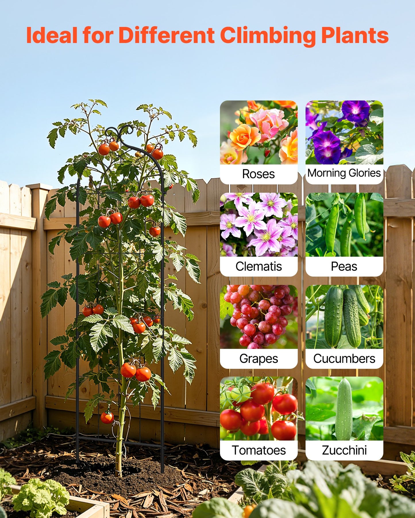 Garden Trellis 60x15 Inch Metal Plant Support Set for Climbing Flowers Vegetables - Black