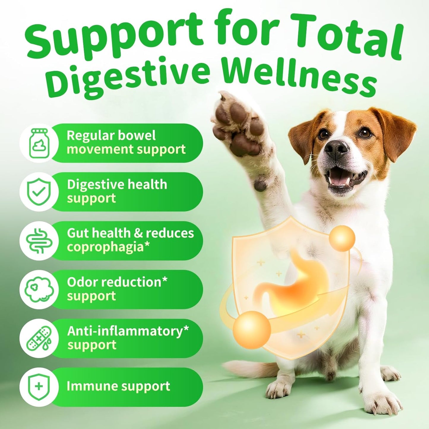 Dog Digestive Enzymes & Probiotics Soft Chews - Gut Health, Pumpkin Fiber, Chicken Flavor, 90 Count