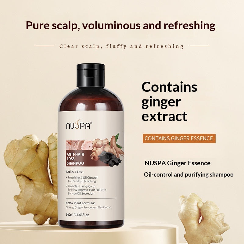 Ginger Shampoo with Dandruff Control & Oil – 500ML