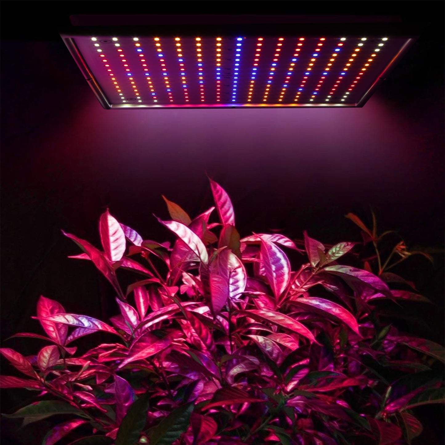 Full Spectrum LED Grow Light - 225 LEDs Indoor Plant Lamp for Herbs Vegetables & Flowers