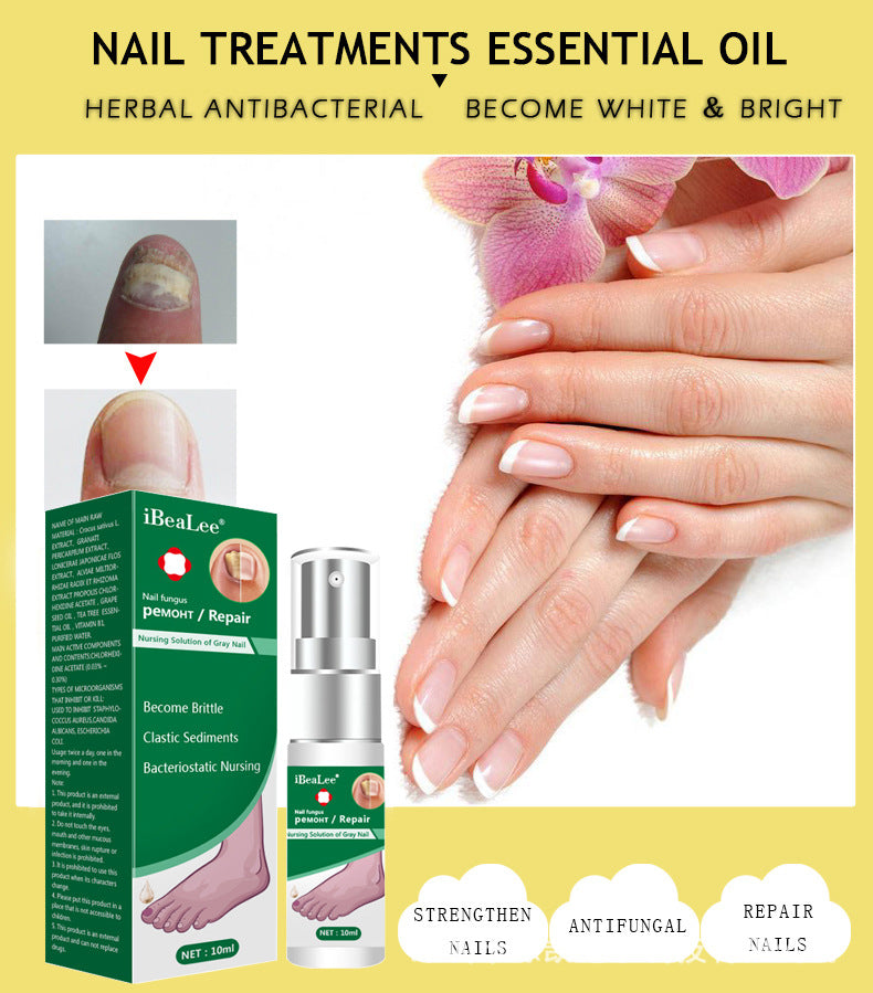 Repair Dust For Deck Liquid Antimicrobial Of Jiagou