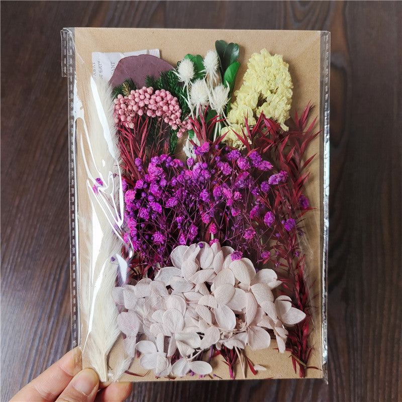 Dried Flower Material Pack for Candle & Photo Frame Decoration - Multiple Styles