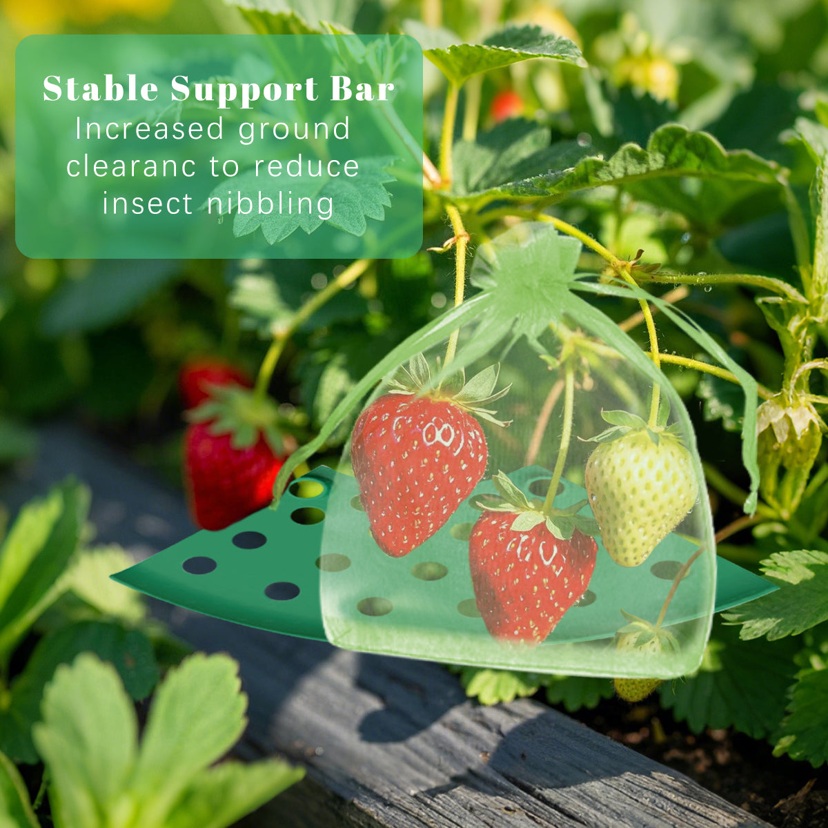 8 Pack Strawberry Plant Supports with Bags Garden Supports Green