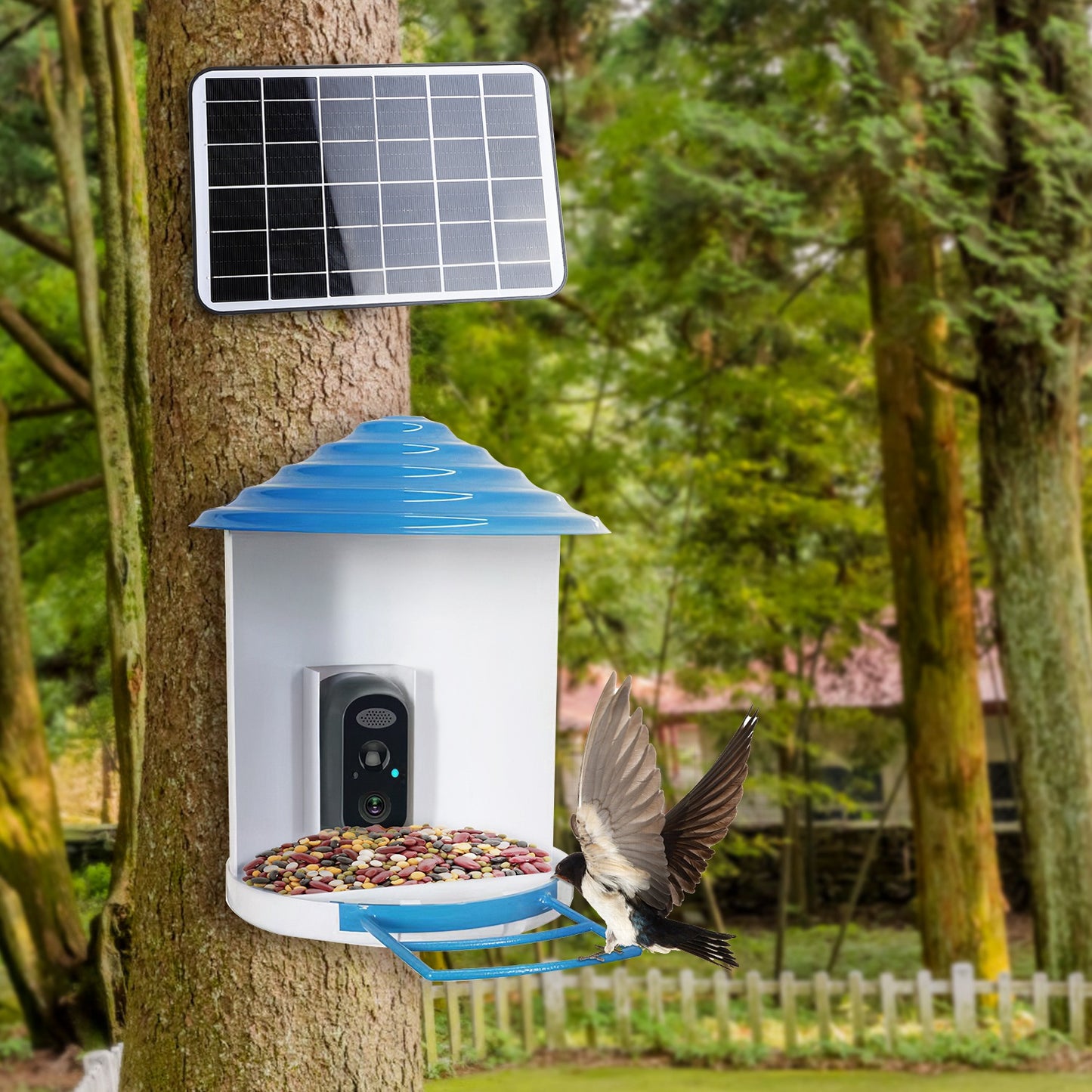 Wireless Bird Feeder with HD Camera Solar Power Night Vision App Control