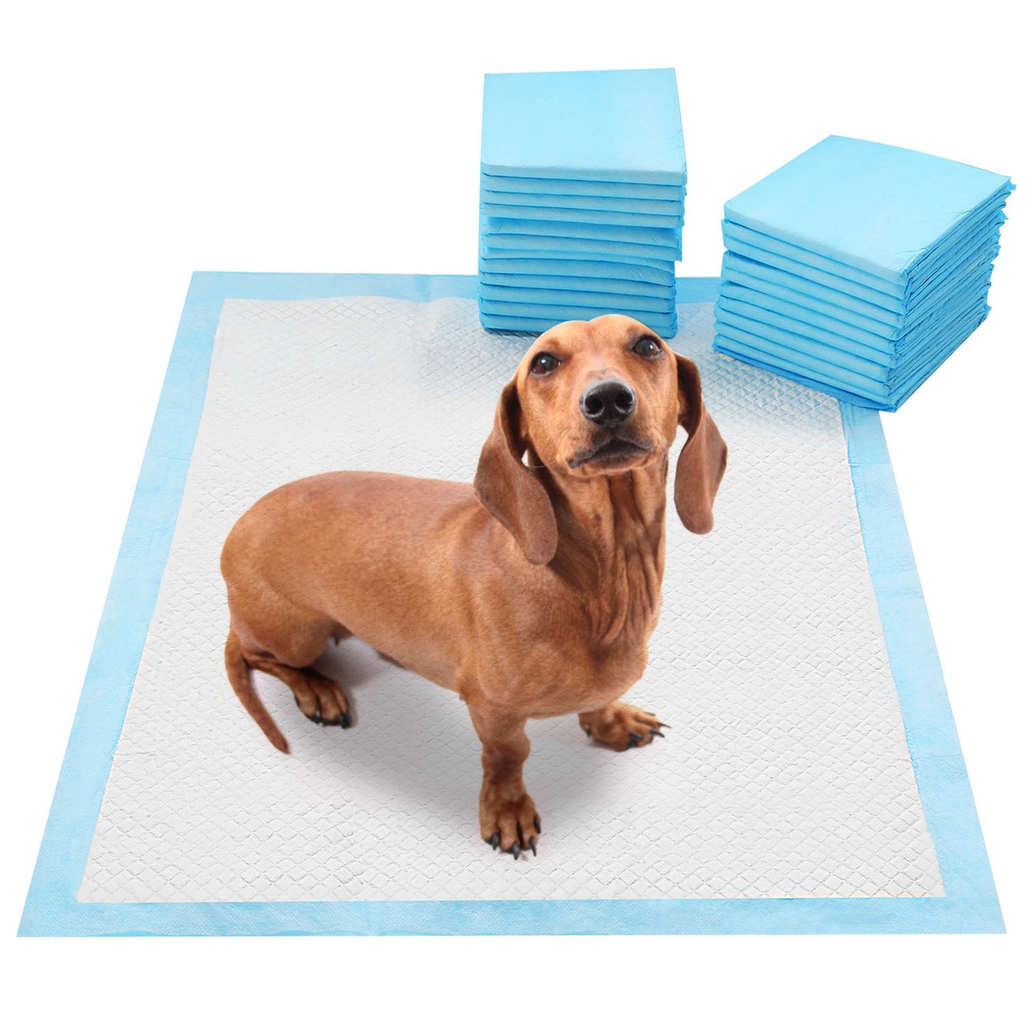50 Pack Dog Training Pee Pads 24x18 Inches Leak-Proof Puppy & Cat Potty Mats