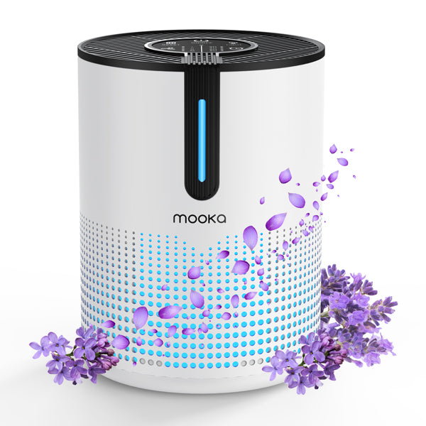 Air Purifier with HEPA Filter - 475 Sq.Ft. Coverage, 4 Speeds
