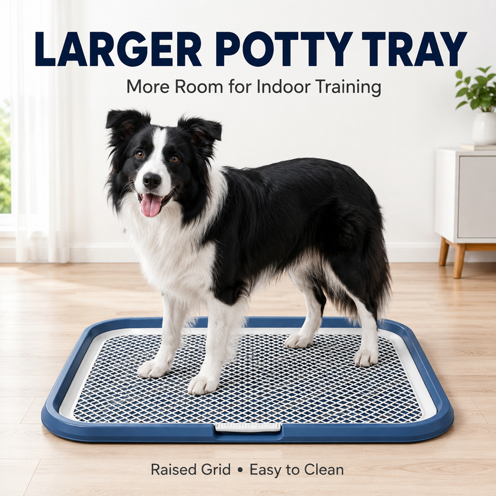 Indoor Dog Potty Tray with Removable Mesh Grid Leak-Proof Puppy Training Toilet
