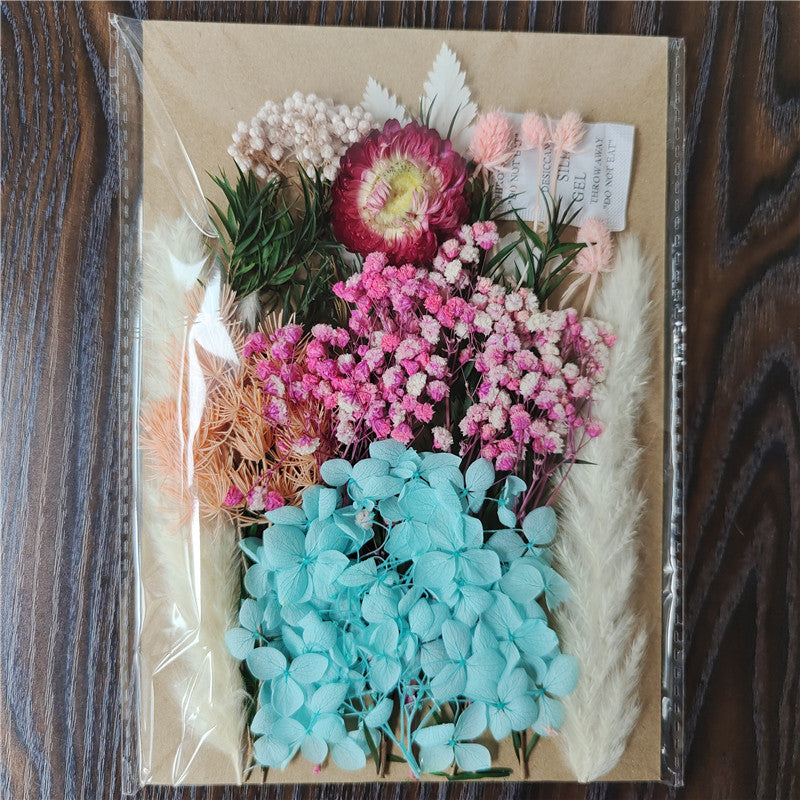 Dried Flower Material Pack for Candle & Photo Frame Decoration - Multiple Styles