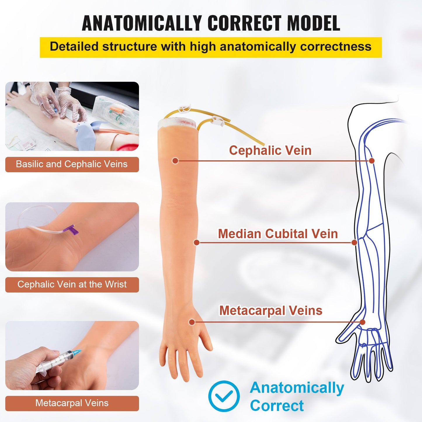 IV Practice Kit - 12 PCS High Simulation Venipuncture Arm