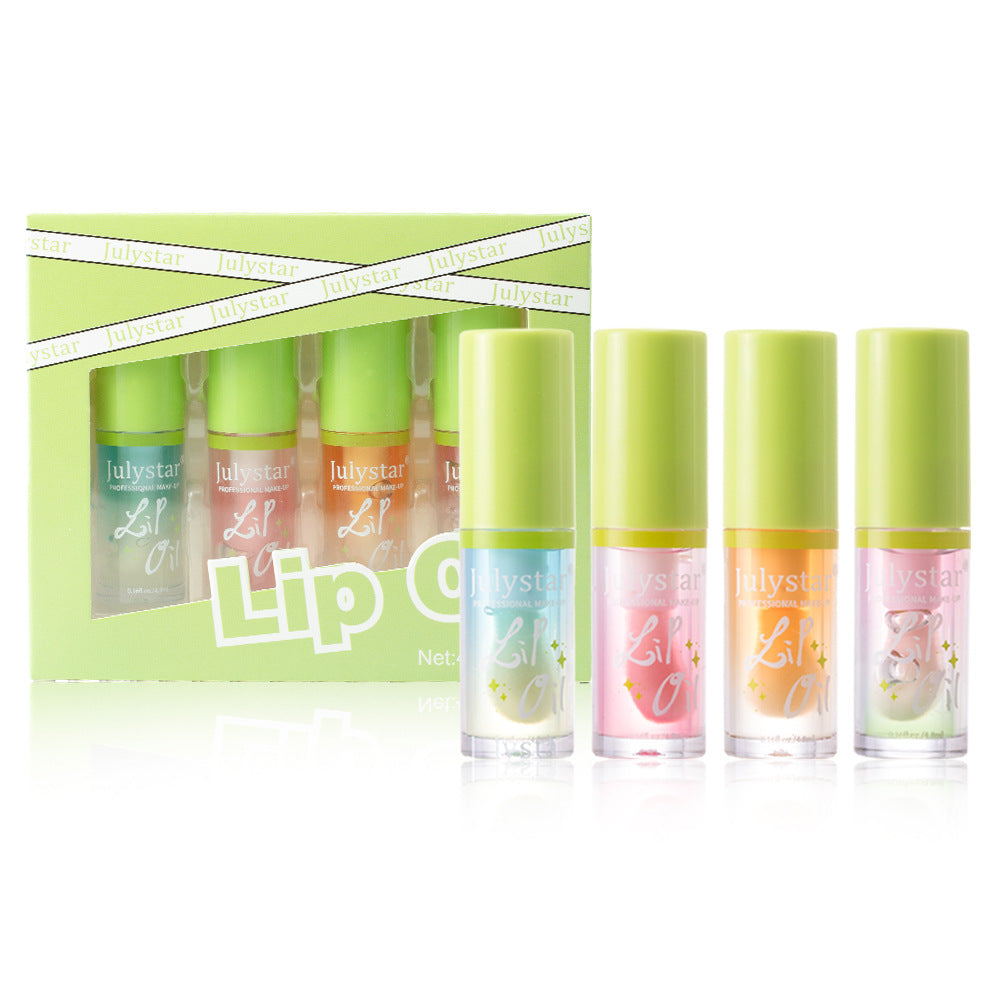 Moisturizing Lip Gloss Set - 4 Pack, 4.8ml Each, Universal Skin