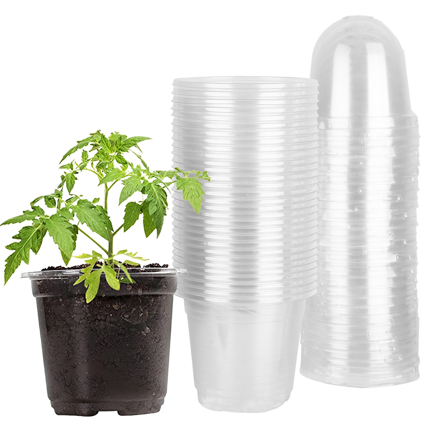 30 Pack Plant Nursery Pots with Humidity Domes and Drainage Holes