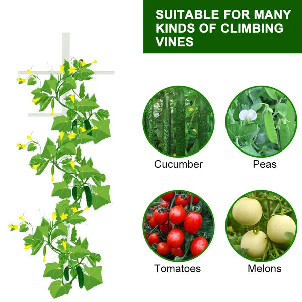 7FT Hollow T-Profile Climbing Trellis for Garden Plants