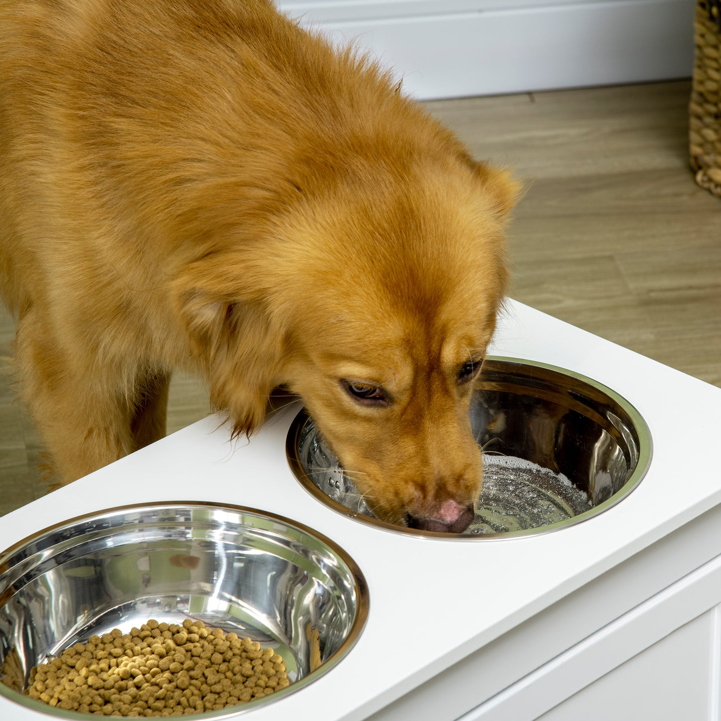 Elevated Dog Bowl Stand with Storage Drawer - Large Stainless Steel Food & Water Bowls, White