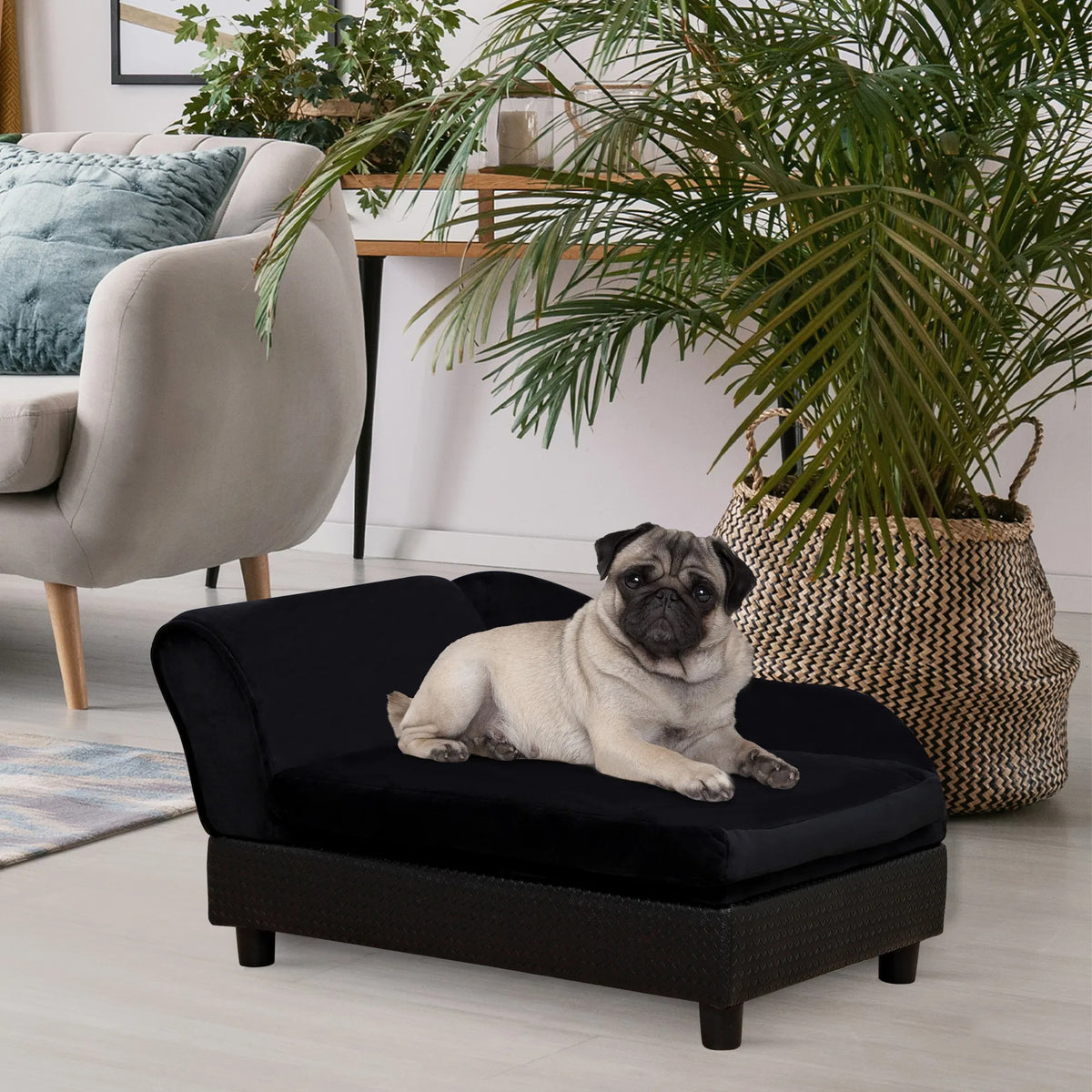 Small Dog Bed with Hidden Storage and Foam Cushion - Modern Pet Sofa, Black