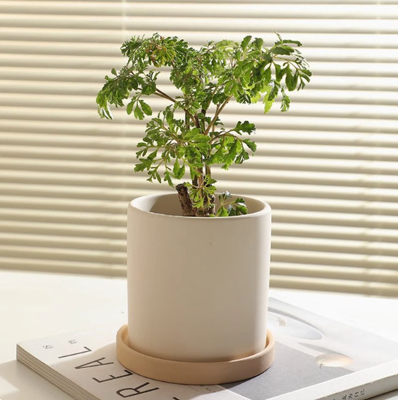 Plain Ceramic Flower Pot - Small to Large Stoneware Planter for Home & Garden