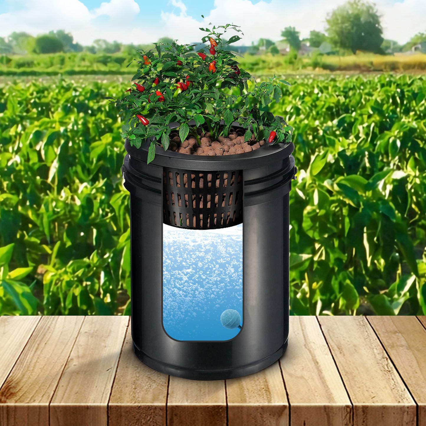 Hydroponic Recirculating Deep Water Culture System with 4 Buckets - 5 Gallon, Black