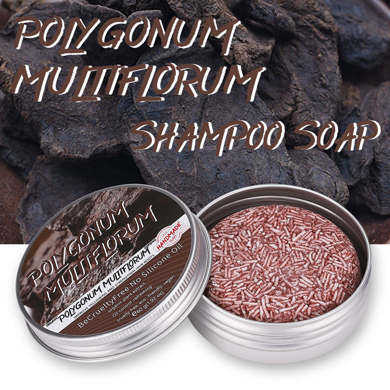 Polygonum Multiflorum Hair Shampoo 60g