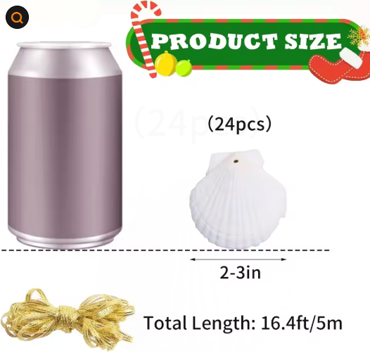24pcs Natural Seashells for Crafting Christmas Ornaments - DIY Decorations