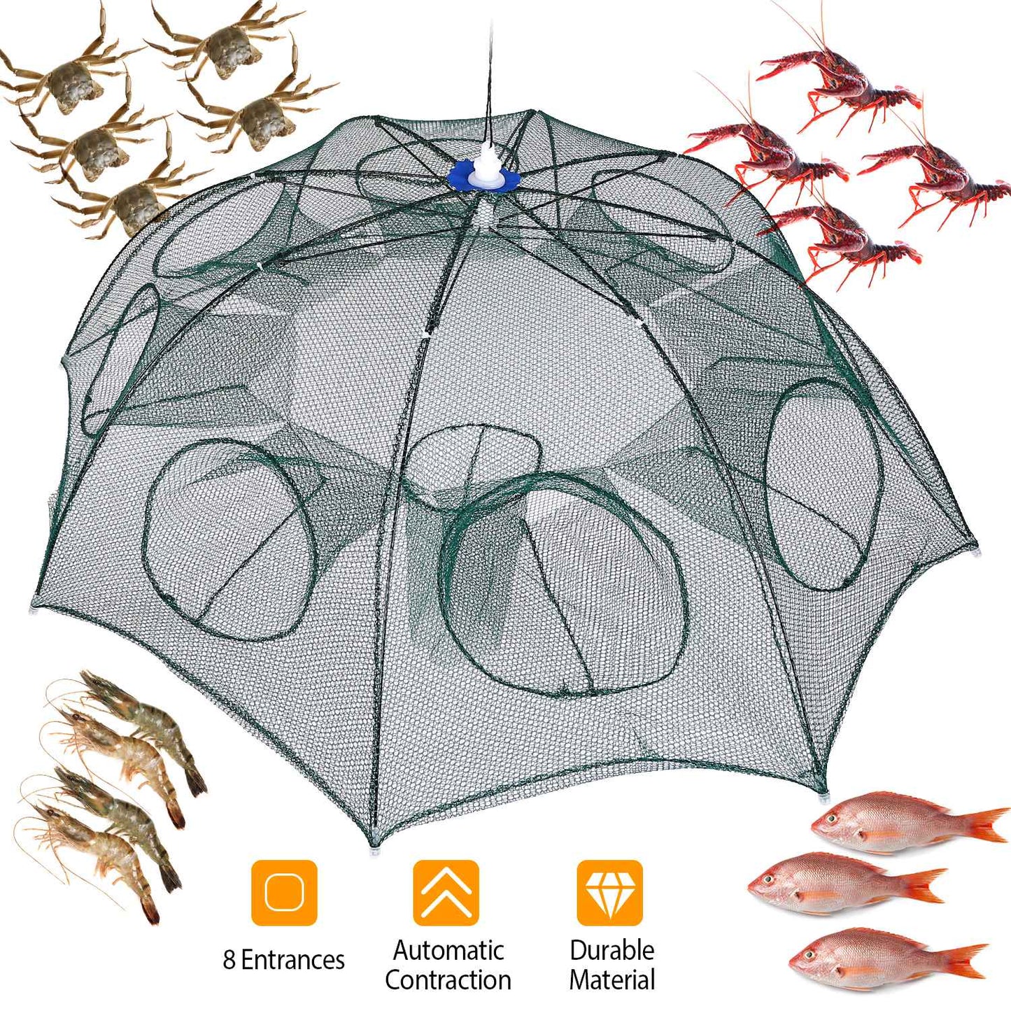 Foldable Fishing Bait Trap - Durable Mesh Crab & Shrimp Net - Green