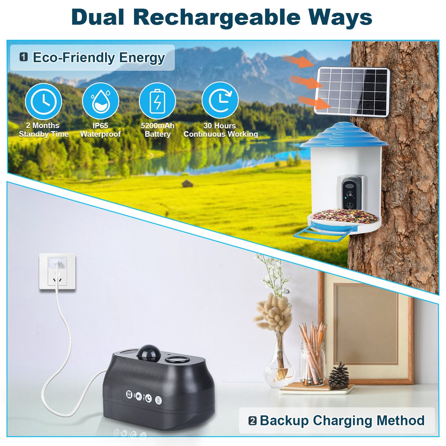 Wireless Bird Feeder with HD Camera Solar Power Night Vision App Control